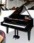 Fl�gel-B�sendorfer-170-schwarz-19525-1-b