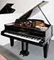 Fl�gel-Grotrian-Steinweg-190-schwarz-33044-1-b